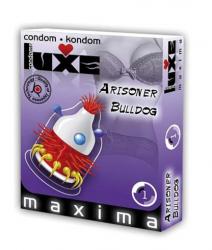Luxe kondoom "Arisoner Bulldog", 1tk UUES PAKENDIS